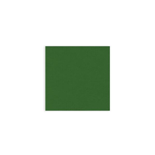 AW402-08 TOV.40X40 2V.VERDE FOR.20X50PZ