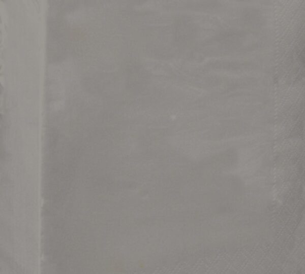 109 TOVAGLIOLI 33X33 GRIGIO 2V 27X50PZ