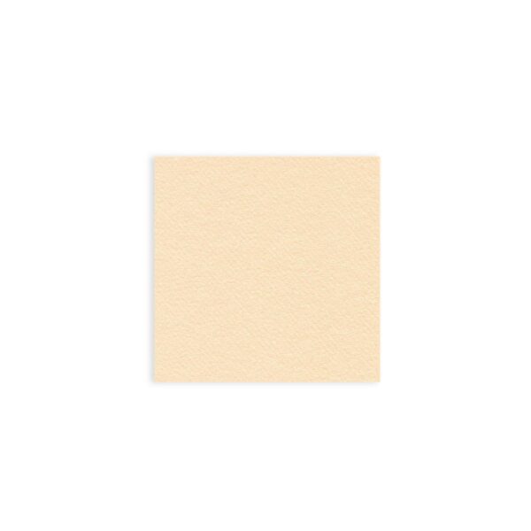 P40-035 TOV.LO 40X40 CARAMEL X800PZ