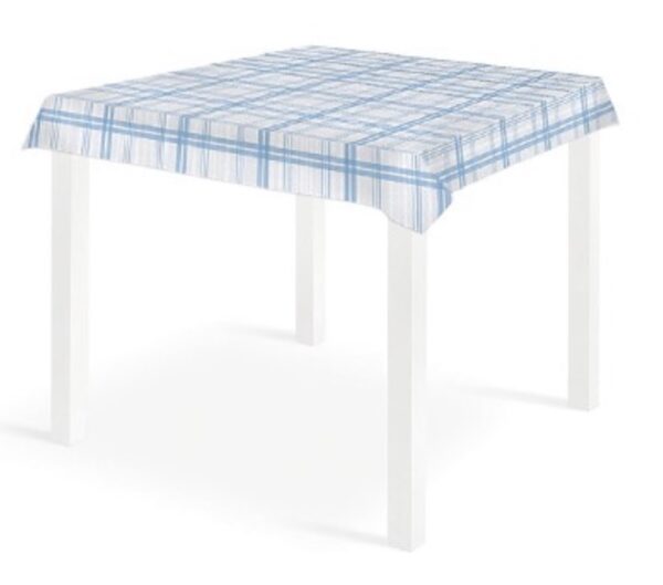 P10-878 COPRI GOURMET AVIO 100X100X100PZ