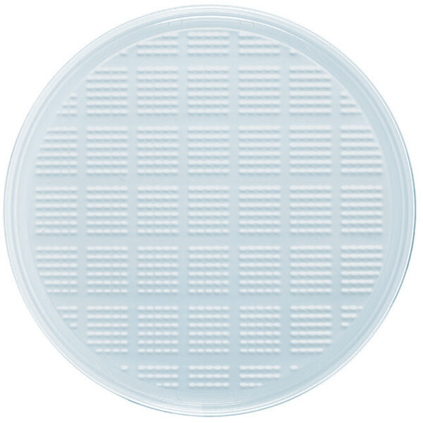 5525001 PIATTO MAXI PLASTICA CM32 8X50PZ